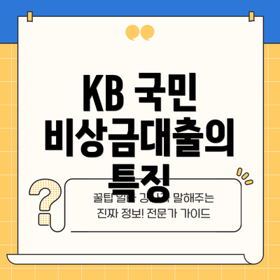 KB 국민 비상금대출의 특징