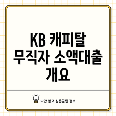 KB 캐피탈 무직자 소액대출 개요