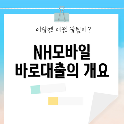 NH모바일 바로대출의 개요