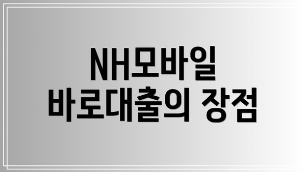 NH모바일 바로대출의 장점