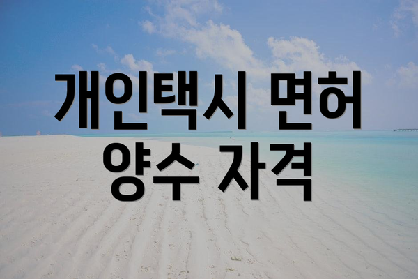 개인택시 면허 양수 자격