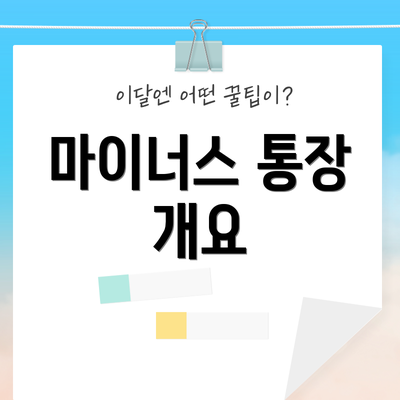 마이너스 통장 개요