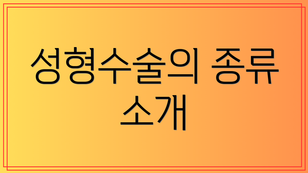 성형수술의 종류 소개