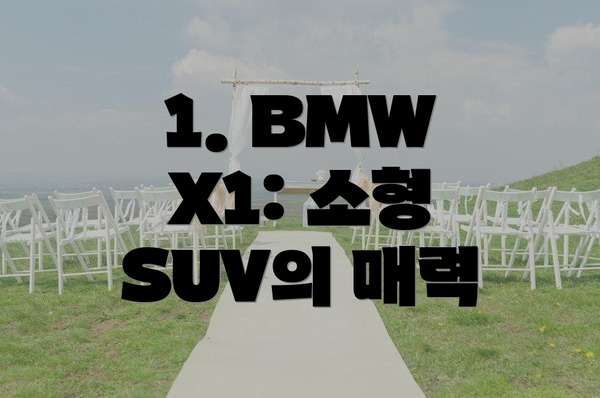 1. BMW X1: 소형 SUV의 매력