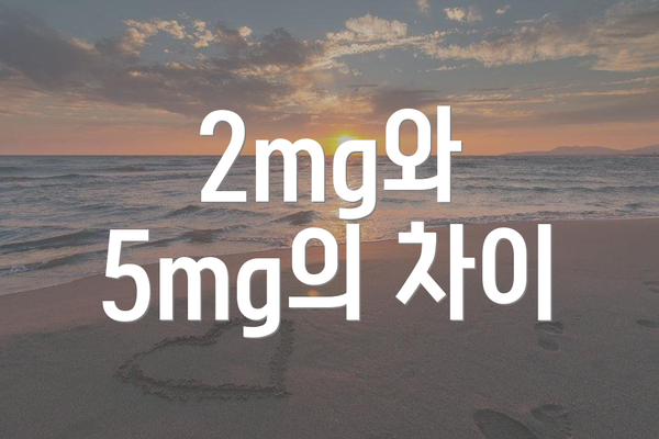 2mg와 5mg의 차이