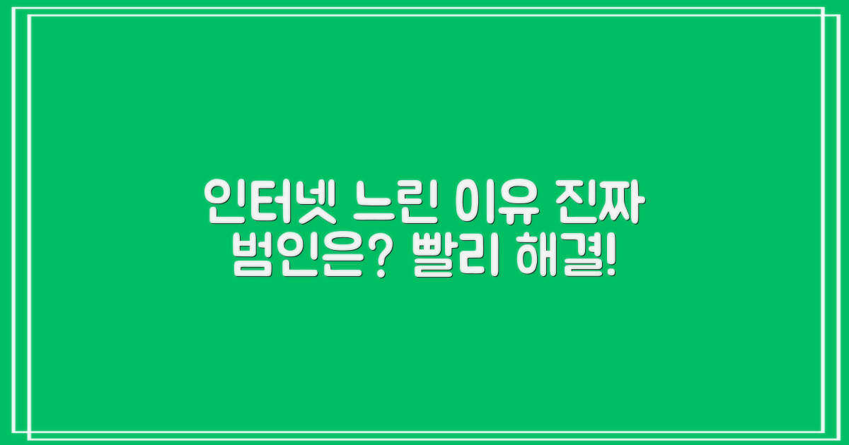 왜 내 인터넷은 느릴까?