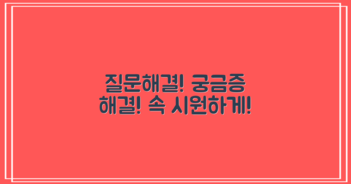 자주 묻는 질문