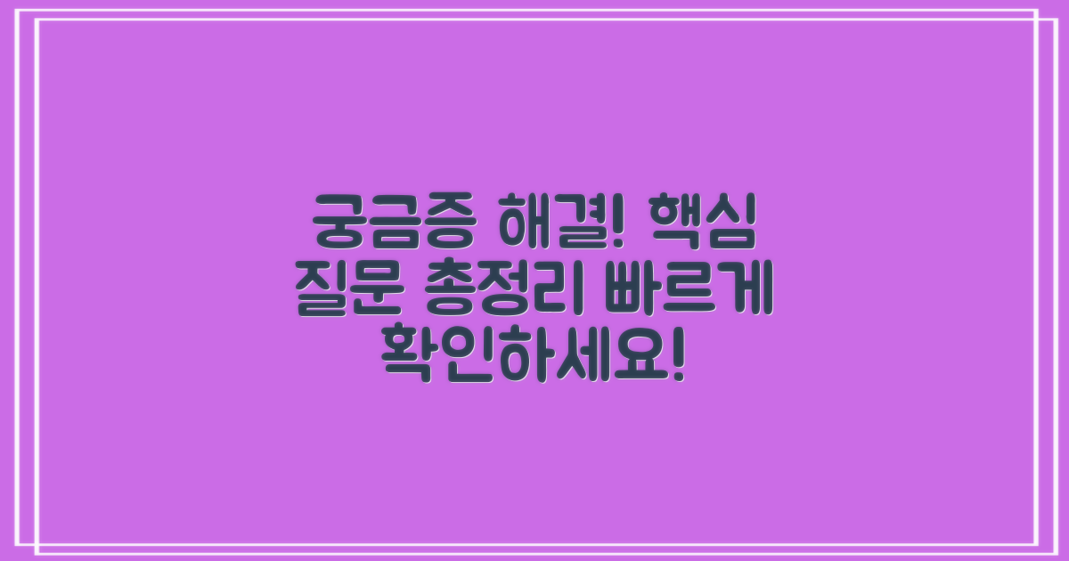 자주 묻는 질문