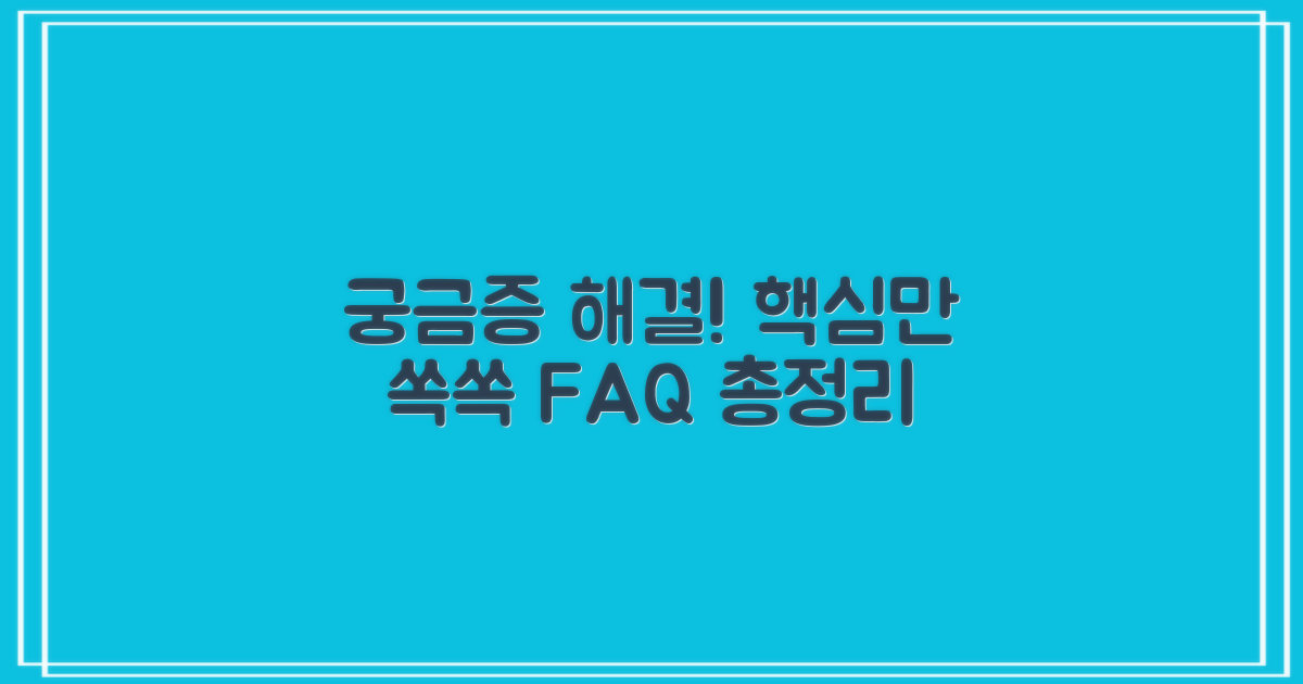 자주 묻는 질문