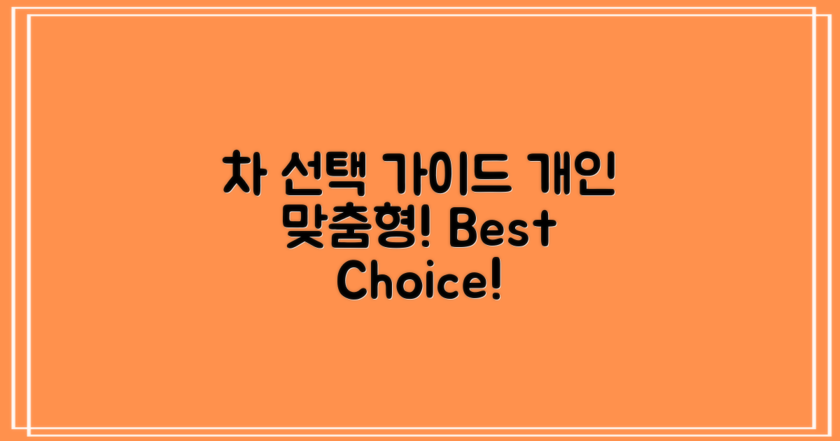 개인 차에 따른 선택 가이드